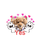 ほのぼのoimo No.2（個別スタンプ：8）