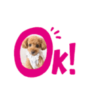ほのぼのoimo No.2（個別スタンプ：11）