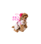 ほのぼのoimo No.2（個別スタンプ：13）