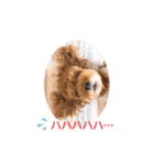 ほのぼのoimo No.2（個別スタンプ：18）