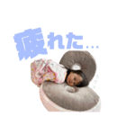 *⑅︎୨୧┈︎┈︎結音④┈︎┈︎୨୧⑅︎*（個別スタンプ：24）