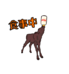 リアルな和牛スタンプ（個別スタンプ：7）