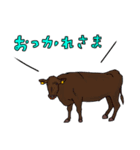 リアルな和牛スタンプ（個別スタンプ：8）