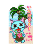 水色 にゃんしー 「でっかい 夏だぜ！！」（個別スタンプ：9）
