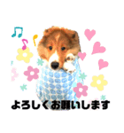 パピシェル⑤王子の【連絡編】（個別スタンプ：2）