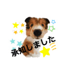 パピシェル⑤王子の【連絡編】（個別スタンプ：4）