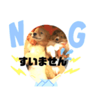 パピシェル⑤王子の【連絡編】（個別スタンプ：8）