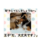 パピシェル⑤王子の【連絡編】（個別スタンプ：9）