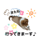 パピシェル⑤王子の【連絡編】（個別スタンプ：11）