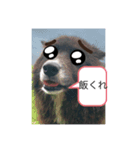 ピエんの逆襲（個別スタンプ：2）