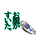 ぴこの語り（個別スタンプ：2）