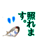 ぴこの語り（個別スタンプ：3）