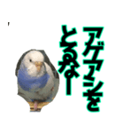 ぴこの語り（個別スタンプ：6）