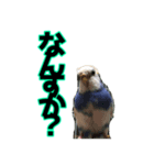 ぴこの語り（個別スタンプ：7）