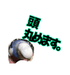 ぴこの語り（個別スタンプ：8）