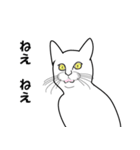 白い猫たち（個別スタンプ：4）