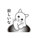 白い猫たち（個別スタンプ：11）