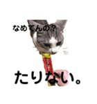 まりもとあそぼ。（個別スタンプ：8）