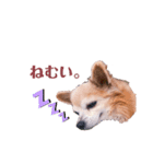 ハル′s STAMP（個別スタンプ：4）