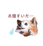 ハル′s STAMP（個別スタンプ：5）