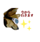 ハル′s STAMP（個別スタンプ：6）