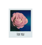 flowers Polaroid（個別スタンプ：3）