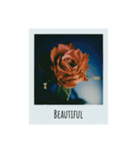 flowers Polaroid（個別スタンプ：4）
