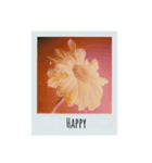 flowers Polaroid（個別スタンプ：10）