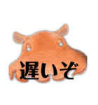 深海のアイドル          メンダコスタンプ（個別スタンプ：6）