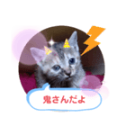 子猫の日常会話（個別スタンプ：37）