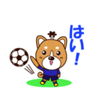 侍サッカー犬（個別スタンプ：4）