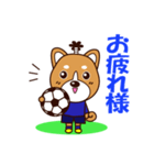 侍サッカー犬（個別スタンプ：19）