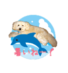 ていねいで可愛い犬_トイプードル（個別スタンプ：31）