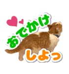 トムのにちじょう2（個別スタンプ：7）