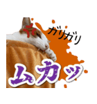 トムのにちじょう2（個別スタンプ：12）
