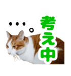 トムのにちじょう2（個別スタンプ：14）