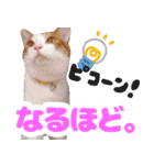 トムのにちじょう2（個別スタンプ：15）