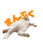トムのにちじょう2（個別スタンプ：24）