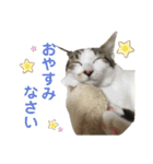 金太と夢の日常（個別スタンプ：2）