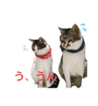 金太と夢の日常（個別スタンプ：5）