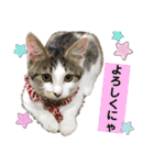 金太と夢の日常（個別スタンプ：17）