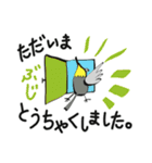 オカメインコ～見やすい丁寧語編～（個別スタンプ：11）