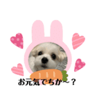 めりるでち❤️⑧（個別スタンプ：1）