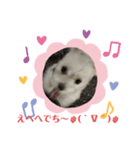 めりるでち❤️⑧（個別スタンプ：3）