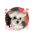 めりるでち❤️⑧（個別スタンプ：7）
