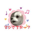 めりるでち❤️⑧（個別スタンプ：8）