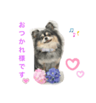 クゥーちゃんスタンプです（個別スタンプ：8）