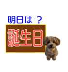 忘れっぽい人の為のスタンプ その2（個別スタンプ：1）