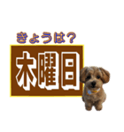 忘れっぽい人の為のスタンプ その2（個別スタンプ：7）