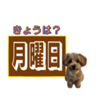 忘れっぽい人の為のスタンプ その2（個別スタンプ：10）